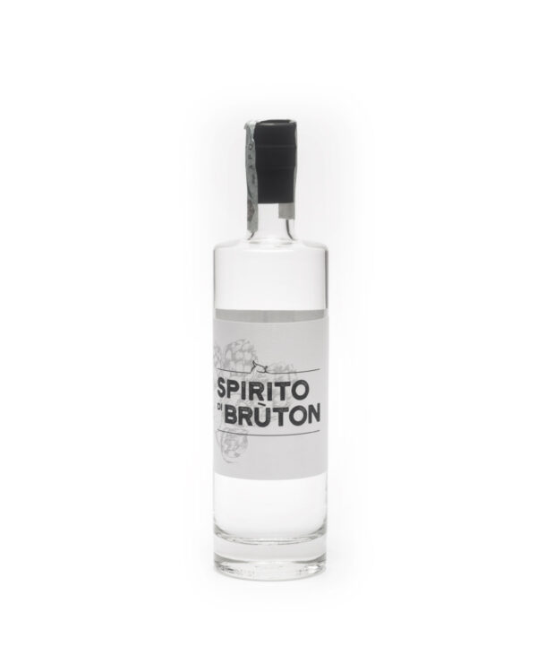 SPIRITO DI BRUTON